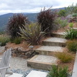 Landscape Service Monterey CA