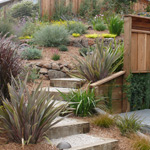Landscape Contractor Monterey CA