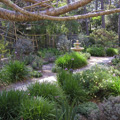 Landscape Service Monterey CA